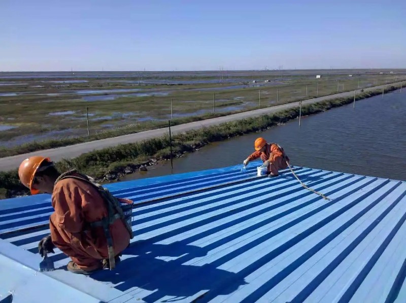 成武彩钢瓦屋面防腐翻新